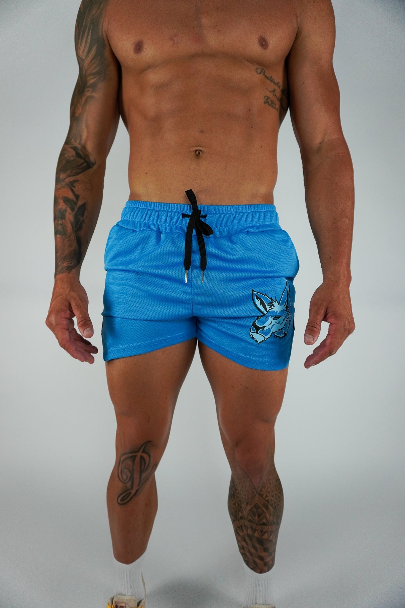 Mesh Shorts - Ice - GYMROOS