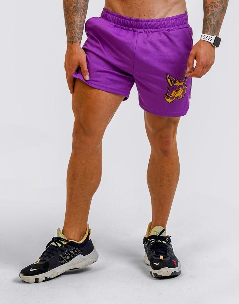 Mesh Shorts - Purple - GYMROOS