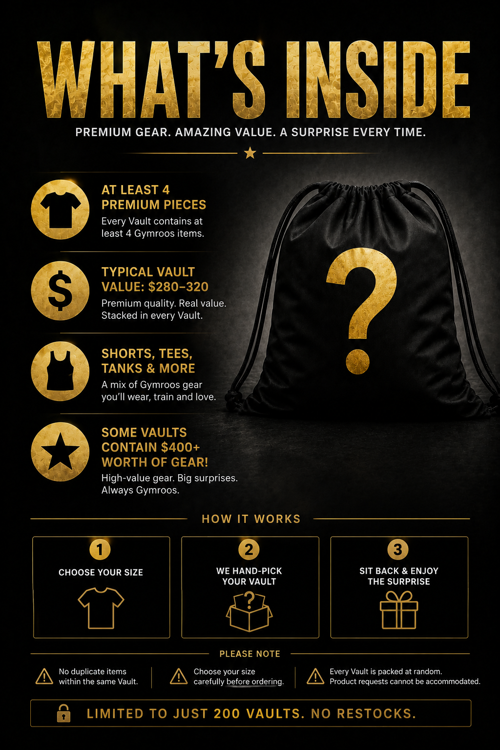 GR Vault Mystery Bag